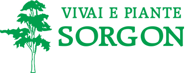 Vivai Sorgon
